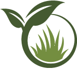 Small Yard Landscaping