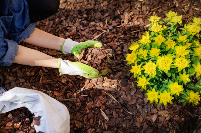 Brown Mulch Installation in Honolulu, HI