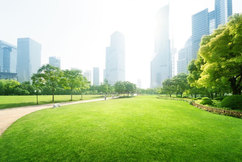 Business Landscape Design in Honolulu, HI