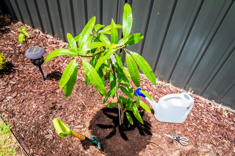 Fruit Tree Planting in Honolulu, HI