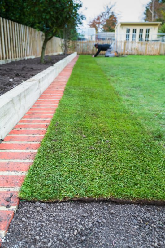 Tree Edging Installation in Citrus County, FL