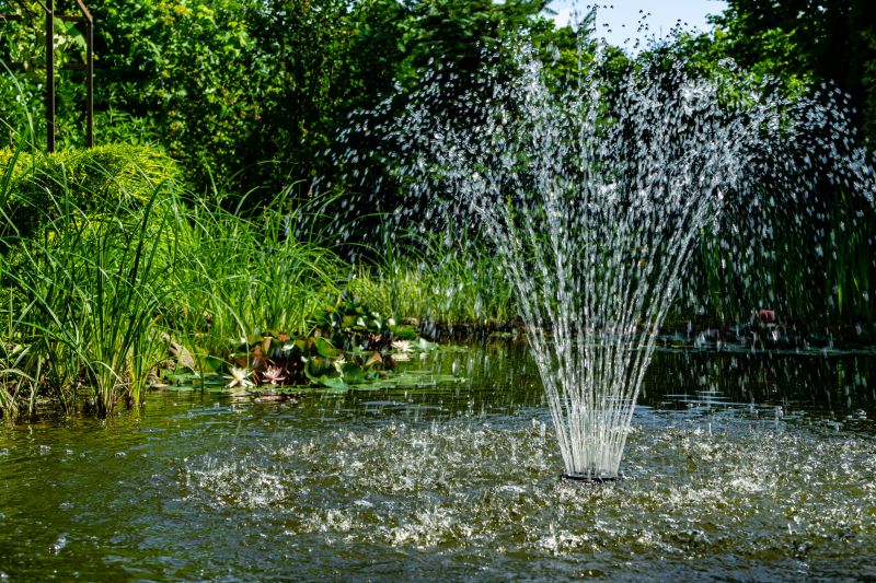 Water Garden Installation in Honolulu, HI